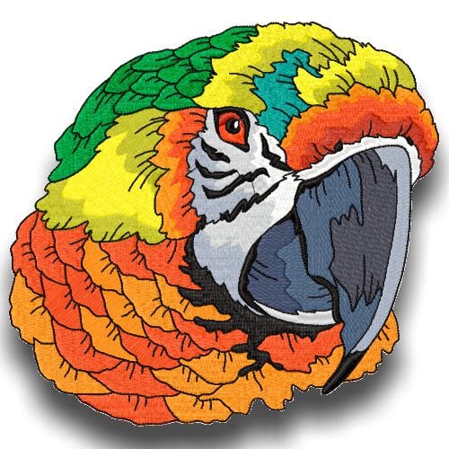 Impressive Birds
