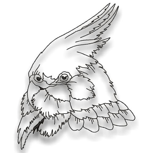 Impressive Birds