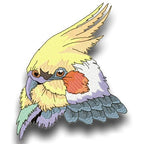 Impressive Birds