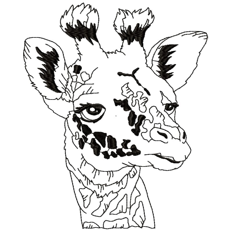 Impressive Giraffe