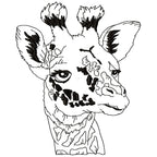 Impressive Giraffe