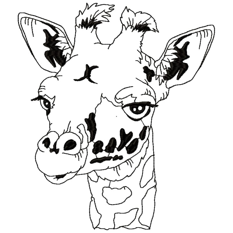 Impressive Giraffe