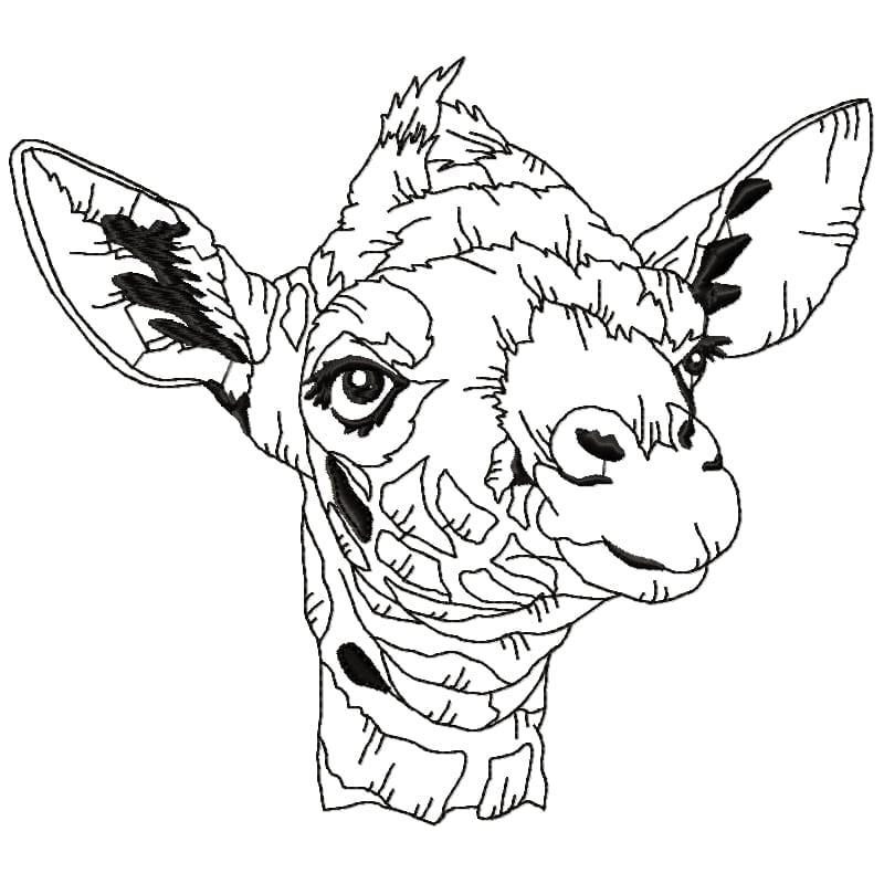 Impressive Giraffe