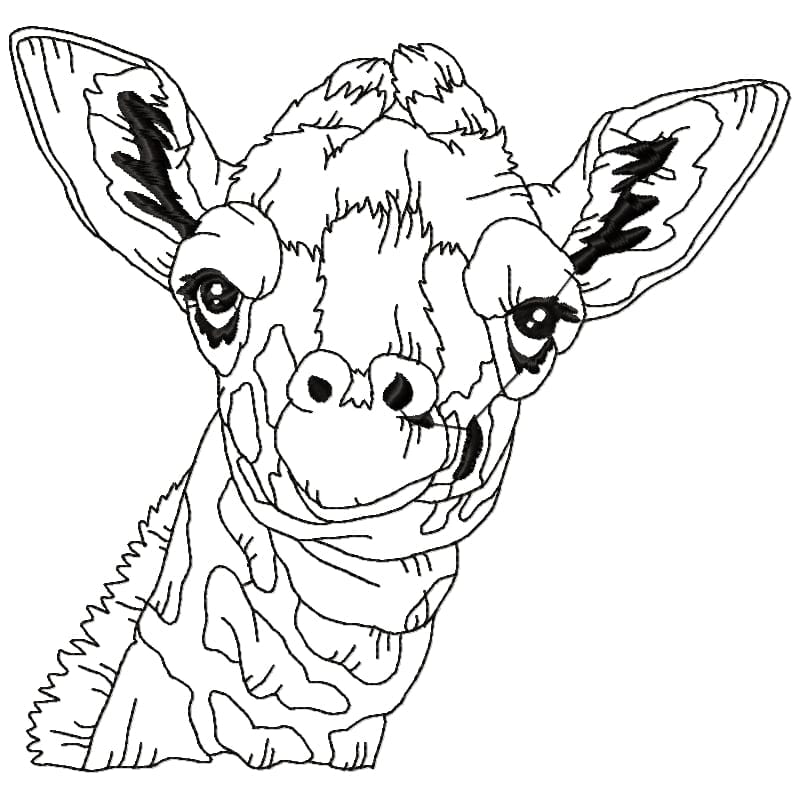 Impressive Giraffe
