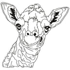 Impressive Giraffe