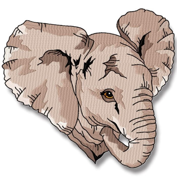 Impressive Elephants