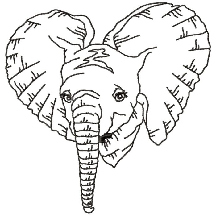 Impressive Elephants