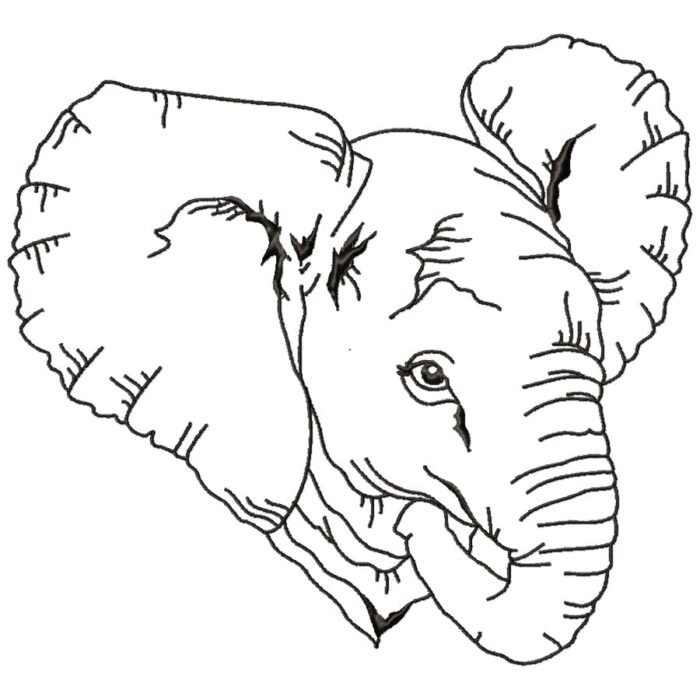 Impressive Elephants