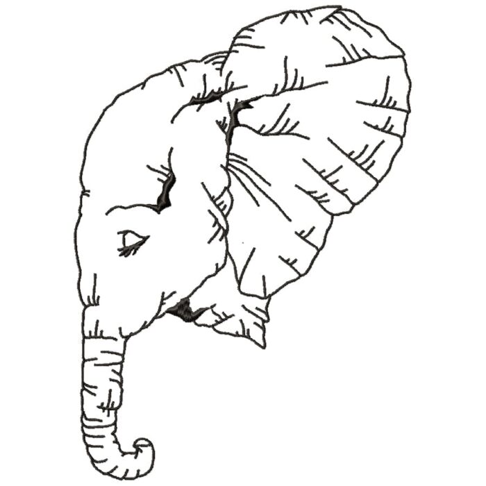Impressive Elephants