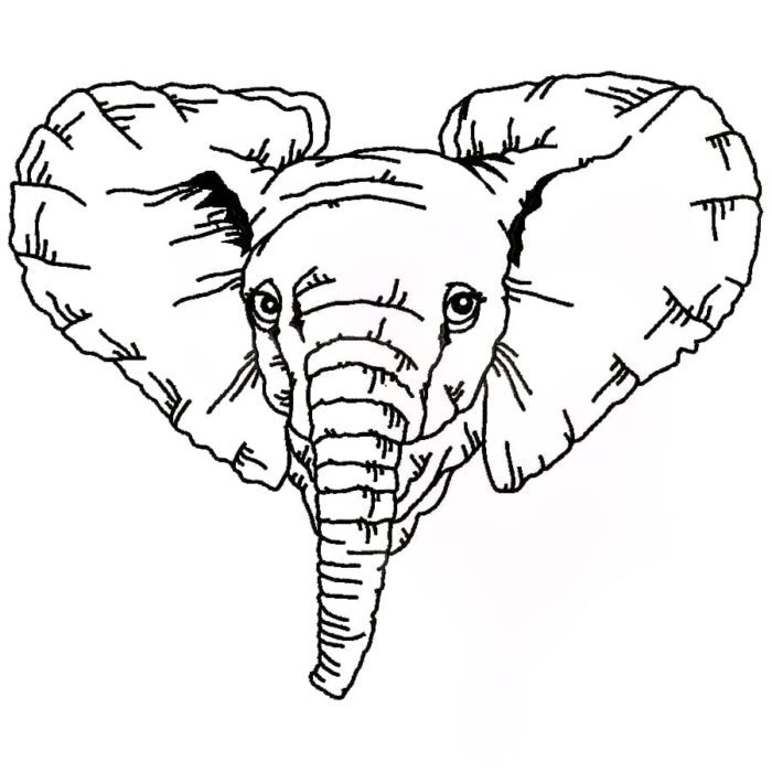 Impressive Elephants