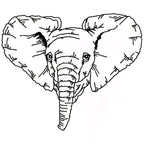 Impressive Elephants
