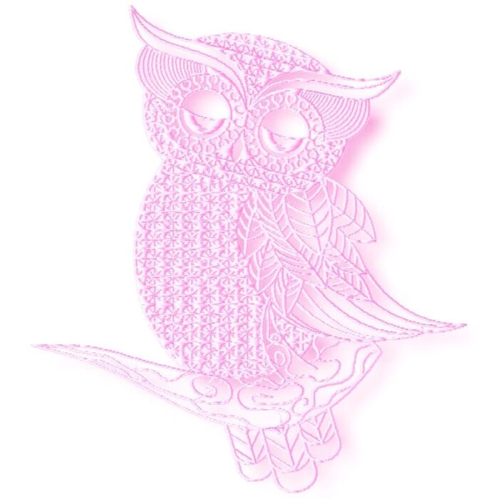 Lacey Owls