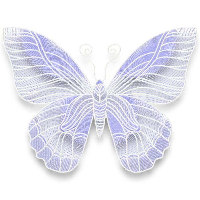 Moths and Butterflies