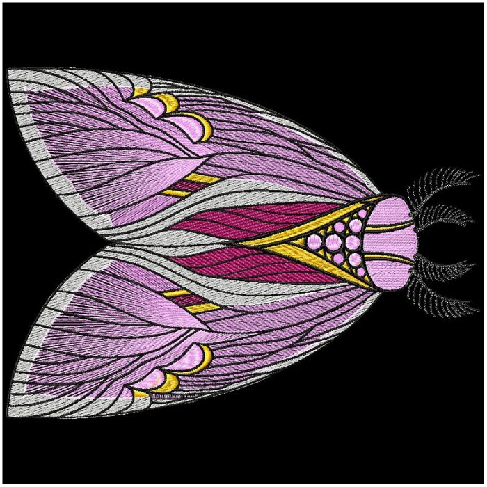 Moths and Butterflies