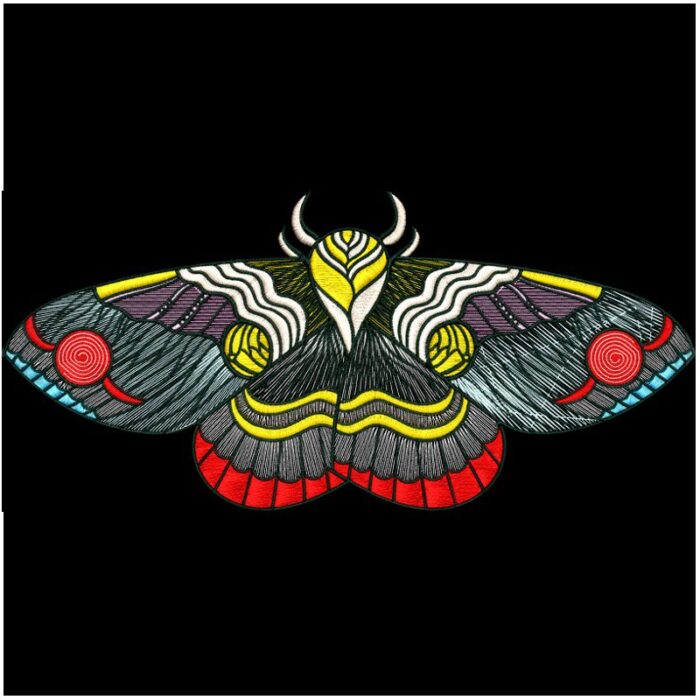 Moths and Butterflies
