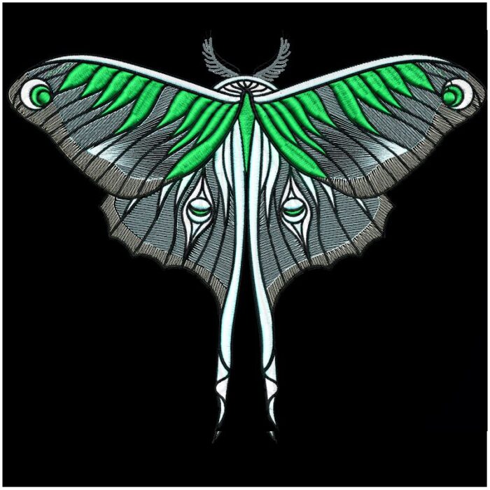 Moths and Butterflies