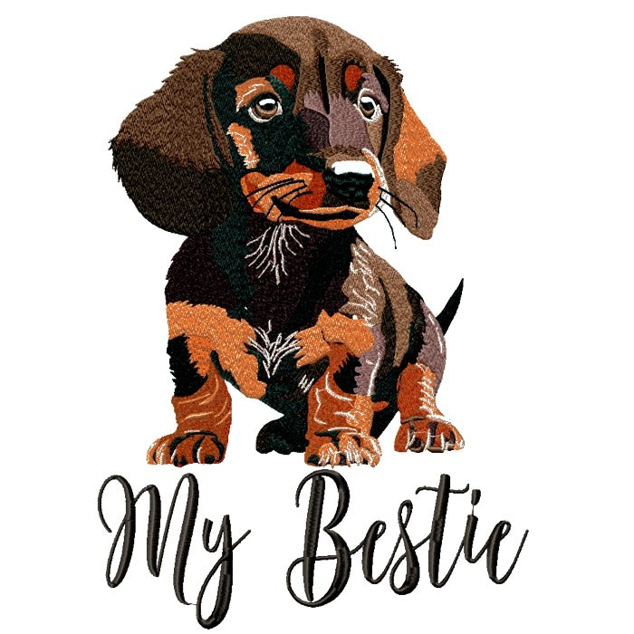 my Dachshund pup