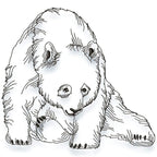 Panda Line Work Set