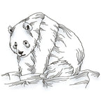 Panda Line Work Set