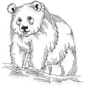 Panda Line Work
