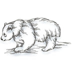 Panda Line Work Set