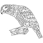 Parrots Line Work Two