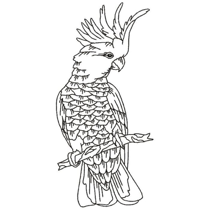 Parrots Line Work Two