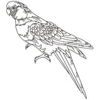 Parrots Line Work Two