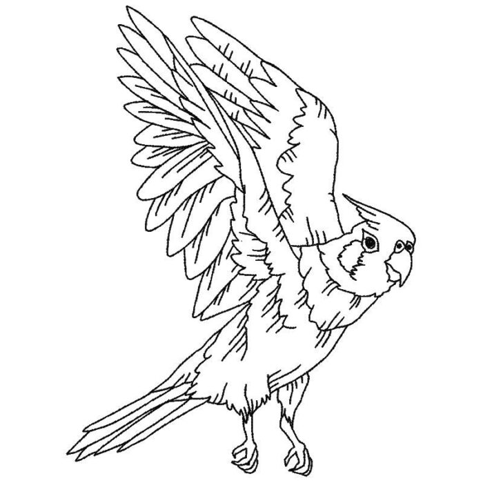 Parrots Line Work Two