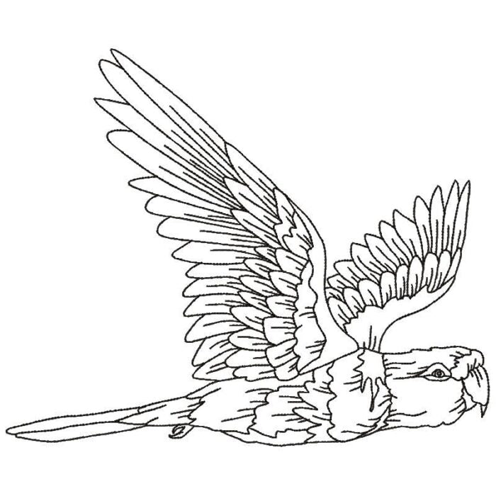 Parrots Line Work Two