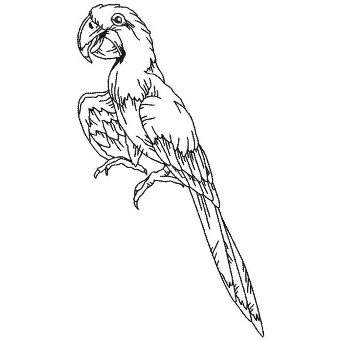 Parrots Line Work Two