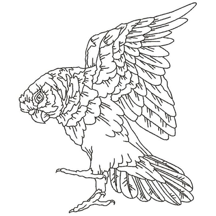 Parrots Line Work Two