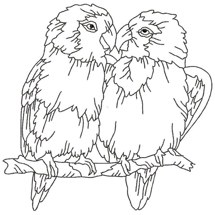 Parrots Line Work Two