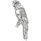 Parrots Line Work Two