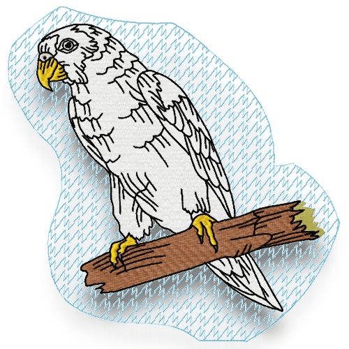 Parrots Outline Set