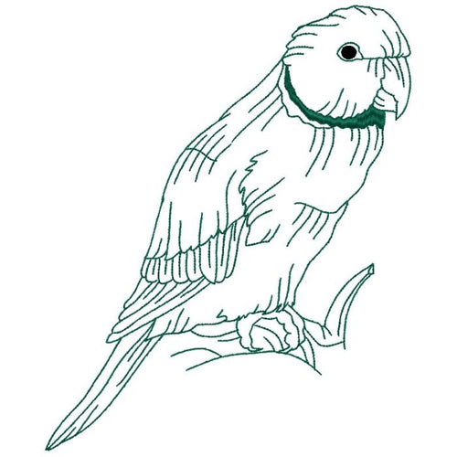Birds Line Work One