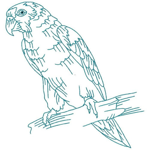 Birds Line Work One
