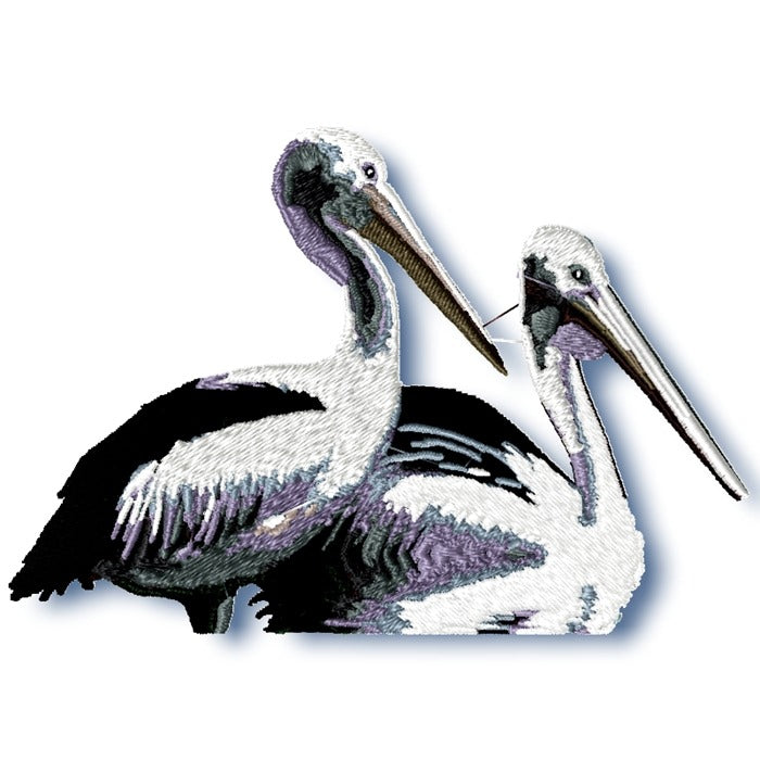 Two Pelicans Set