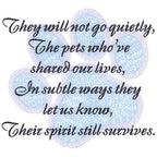 Pet Sympathy