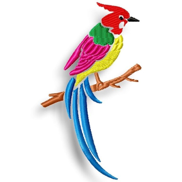 Rainbow Birds