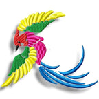 Rainbow Birds
