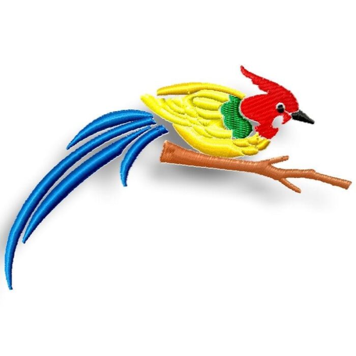 Rainbow Birds
