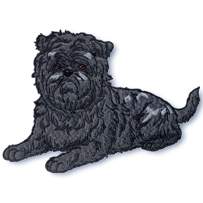 Affenpinscher Realistic