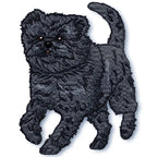 Affenpinscher Realistic