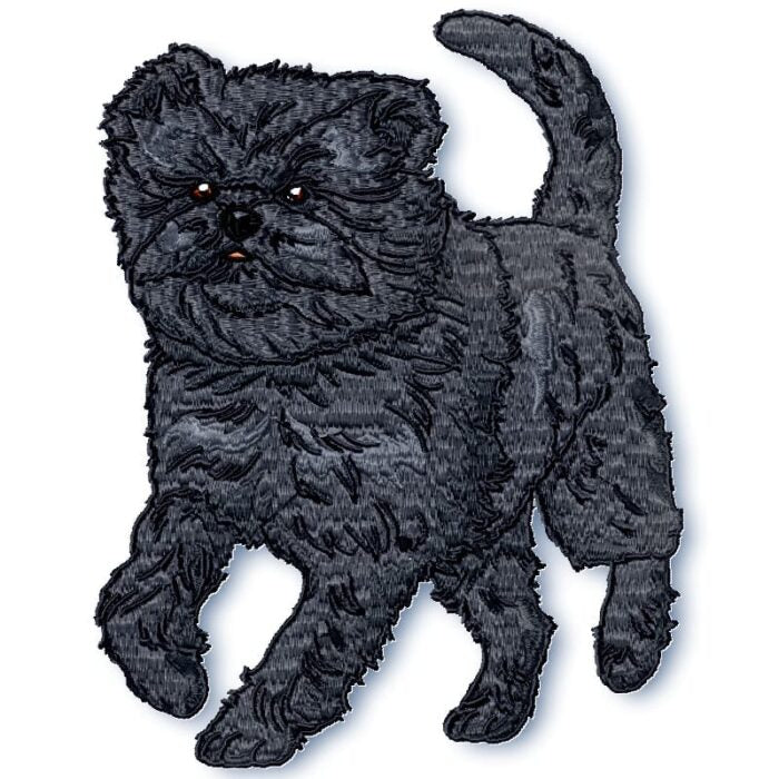 Affenpinscher Realistic