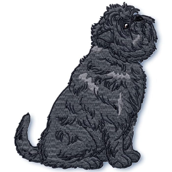 Affenpinscher Realistic
