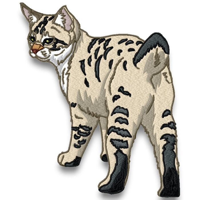 Realistic American Bobtail