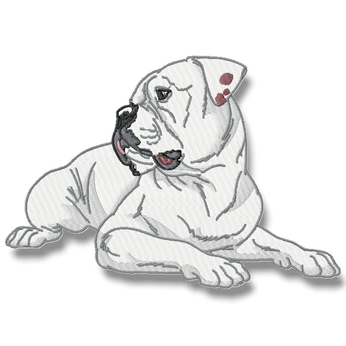Realistic American Bulldog