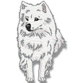 American Spitz Realistic