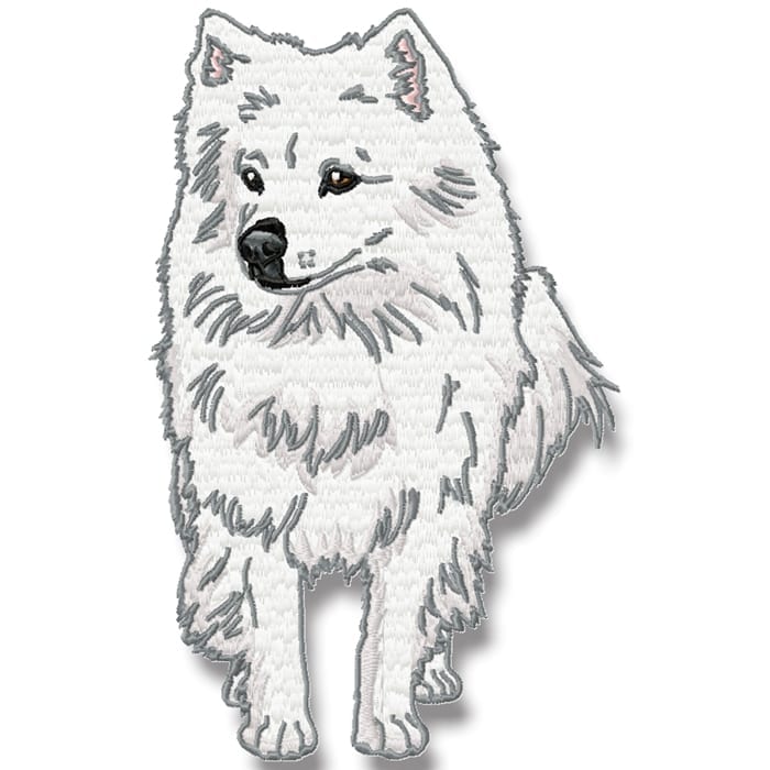 American Spitz Realistic